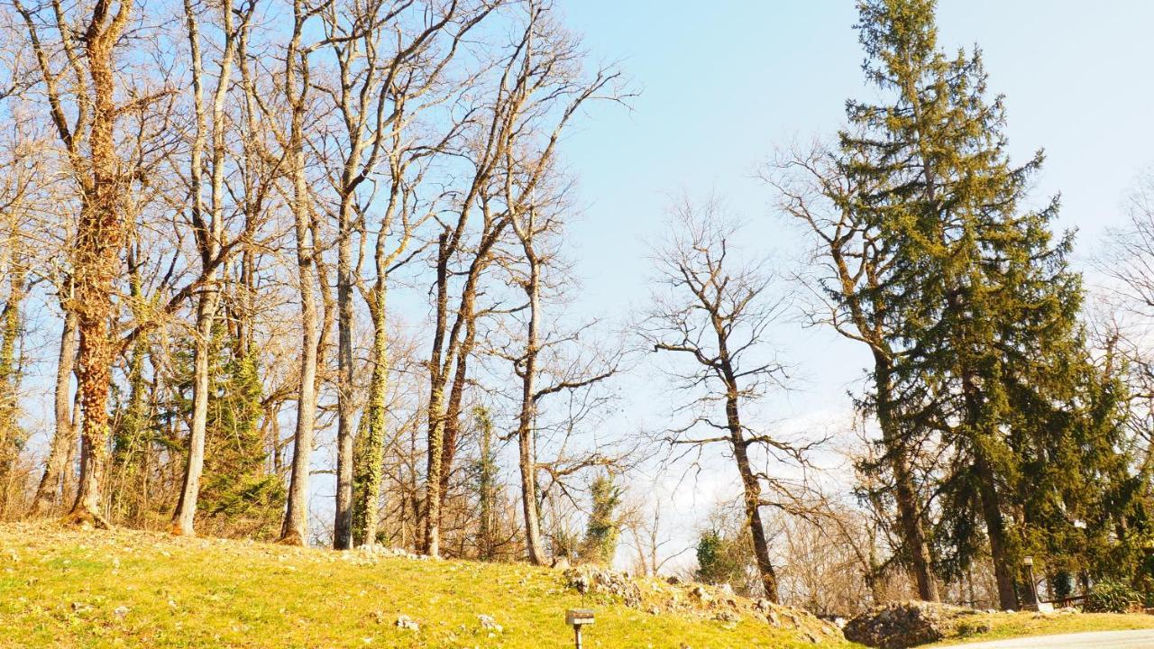 La Garenne De Morestel Экстерьер фото